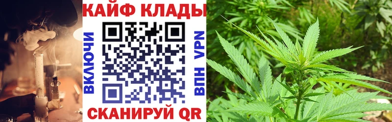 Где найти наркотики Волхов НБОМе  АМФЕТАМИН  ОМГ ОМГ ССЫЛКА  Марихуана  Кокаин  Alpha PVP  Гашиш 