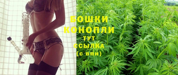 дурь Арсеньев