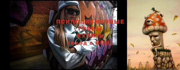 дурь Арсеньев