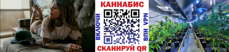 Шишки марихуана гибрид Волхов